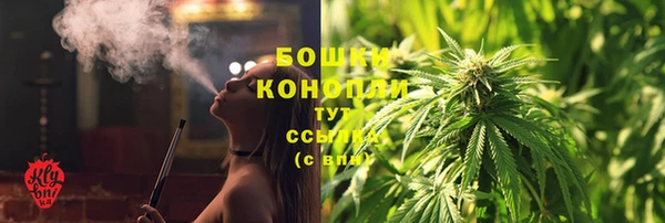 молекула духа Горнозаводск
