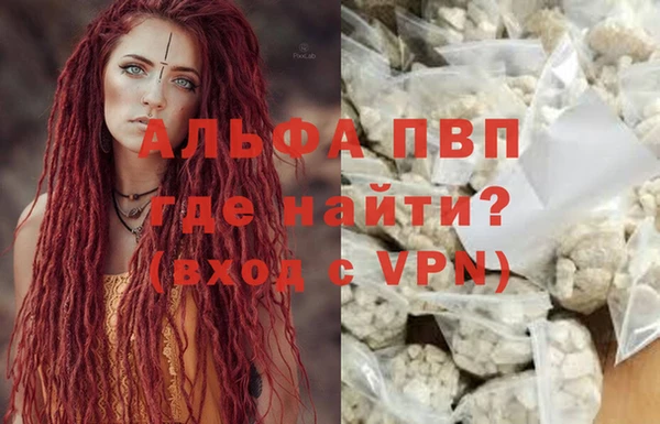 ПСИЛОЦИБИНОВЫЕ ГРИБЫ Горняк