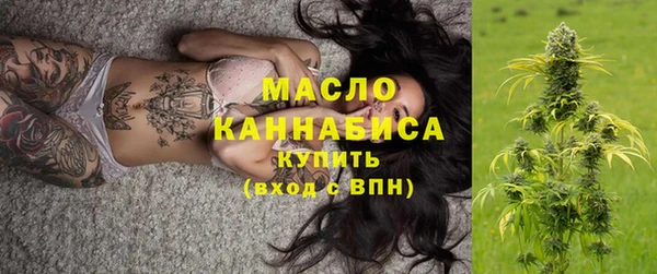 молекула духа Горнозаводск