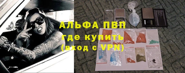 ПСИЛОЦИБИНОВЫЕ ГРИБЫ Горняк