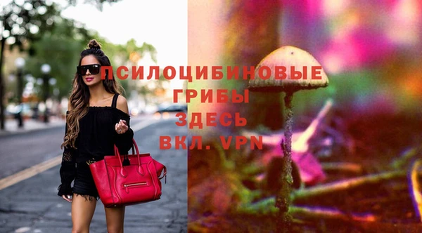 молекула духа Горнозаводск