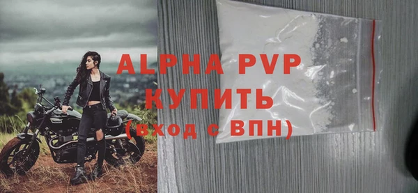 ПСИЛОЦИБИНОВЫЕ ГРИБЫ Горняк