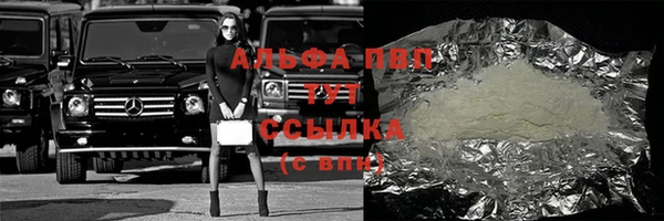 ПСИЛОЦИБИНОВЫЕ ГРИБЫ Горняк