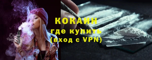 ПСИЛОЦИБИНОВЫЕ ГРИБЫ Горняк