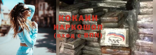 молекула духа Горнозаводск
