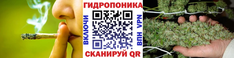 Шишки марихуана VHQ  Шахунья 